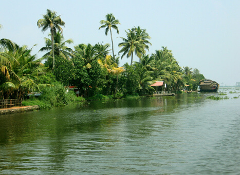 Vembanad lake 