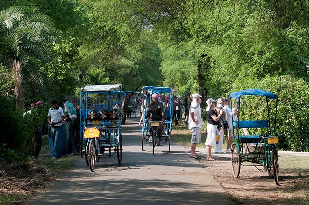 Birdwatching Cycle Rickshaw Rides