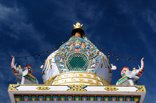 Himalayan Gaddi Kingdom Trek