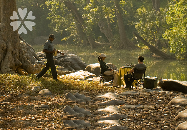 Central India – Tiger Safari and the Taj