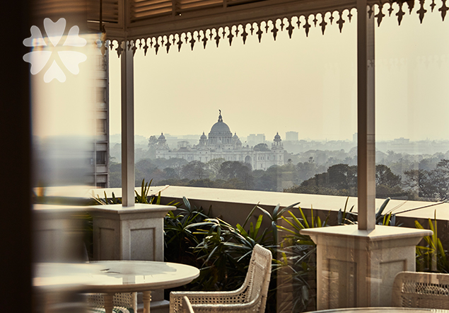 Colonial History, Tea Gardens AND Wildlife in Eastern India
